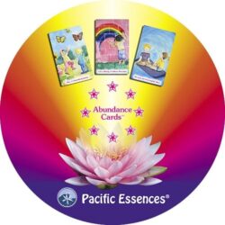 Abundance Cards