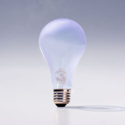 Chromalux® Full Spectrum A21 Frosted Bulb, 75W