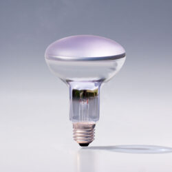 Chromalux® Full Spectrum Bulb R30 Frosted, 75W